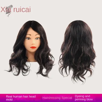 100% Човешка коса, 12-18 инча, модел на главата L, Обучение модел на главата, имитирующая главата