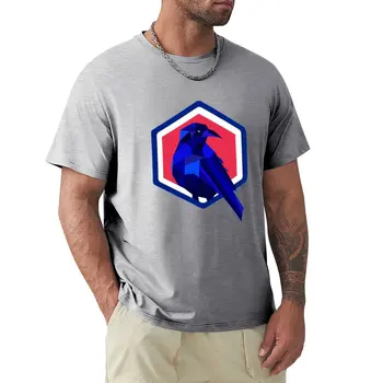 Тениска с логото на Парникови Academy Рейвънс, тениски, дрехи за хипита, спортни фенове, прости бели тениски за мъже